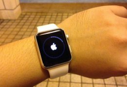 Apple Watch OS 2 24Сʱ