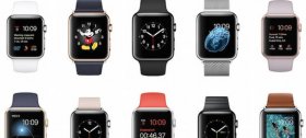 Apple Watch鷳ƻַר