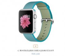 Apple Watch н2288Ԫ